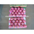 China Fresh Fuji Apples processed by our own factory from our own stock